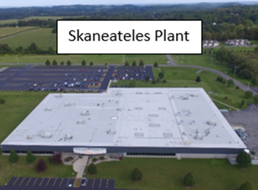 Skaneateles plant